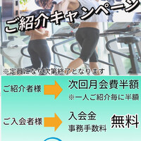 画像262