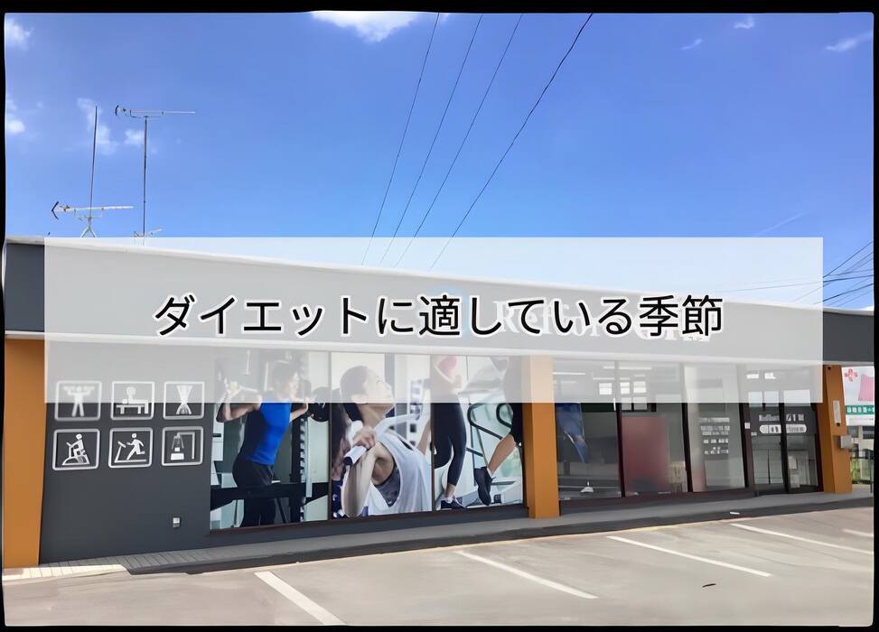 画像287