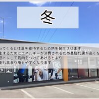 画像288