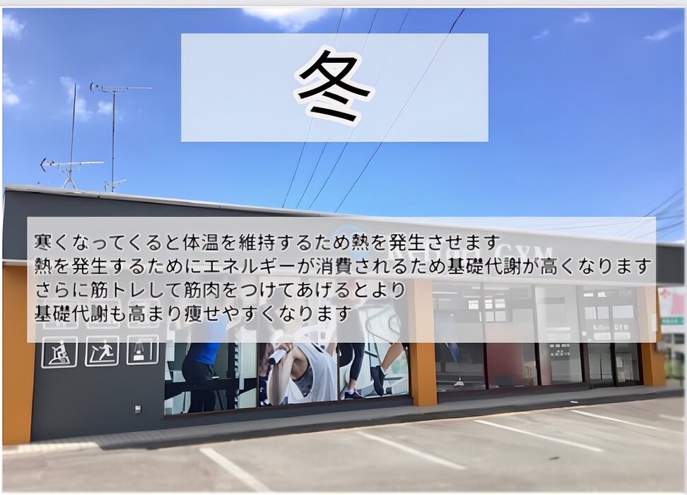 画像288