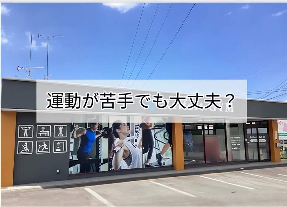 画像296