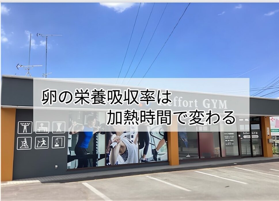 画像311